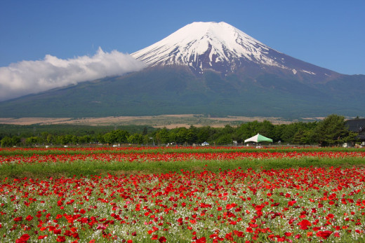 538509 (a): :1800x1200